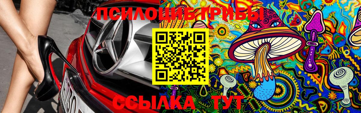 сколько стоит  Вход с VPN  Александров  Галлюциногенные грибы мухоморы 