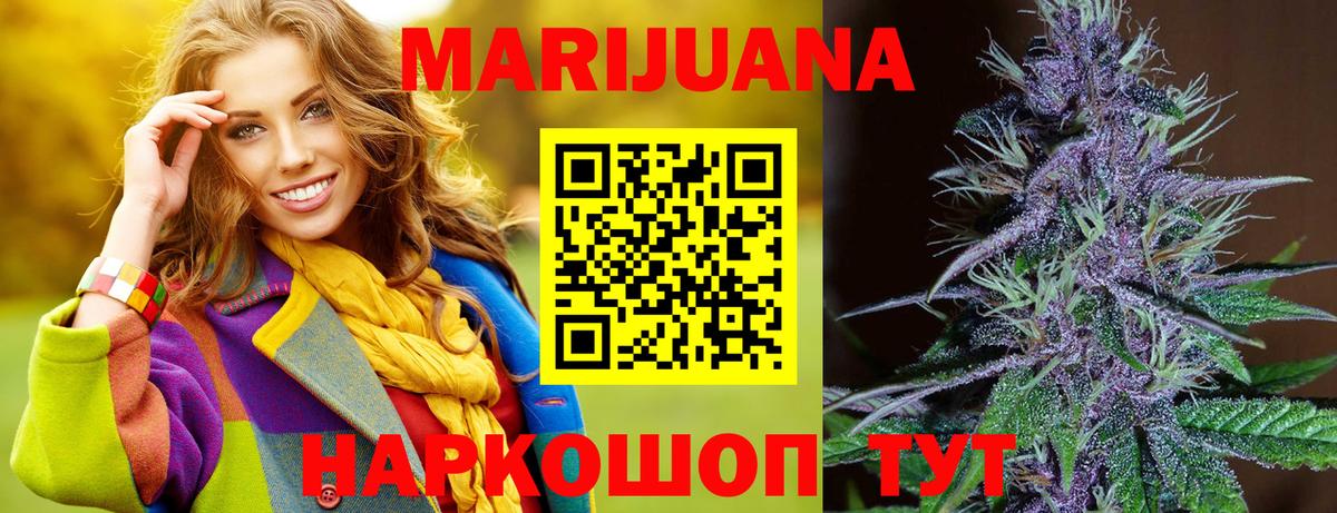 Каннабис OG Kush Александров
